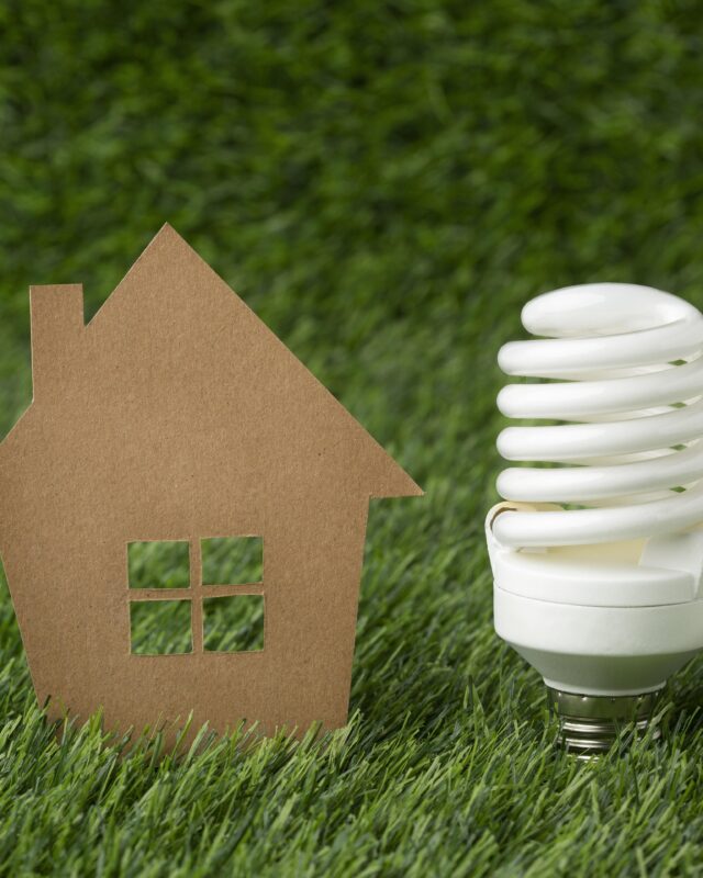 light-bulb-with-miniature-house